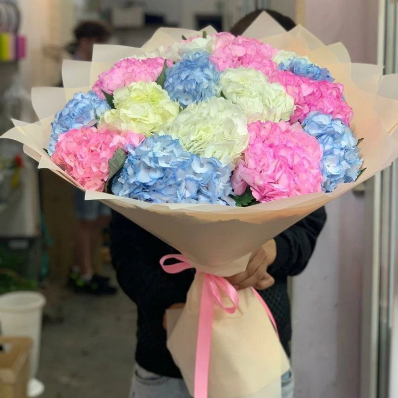 A huge bouquet of 17 hydrangeas in delicate packaging, standart