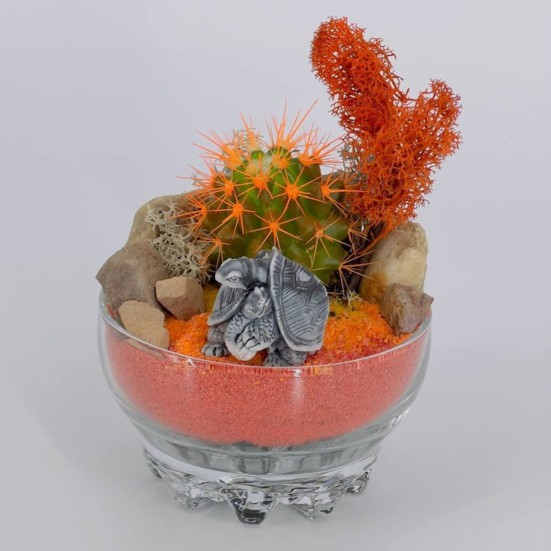 Mini florist garden with cactus and sand, standart