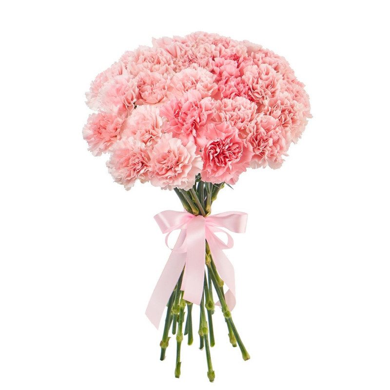 Bouquet of 25 pink carnations, standart
