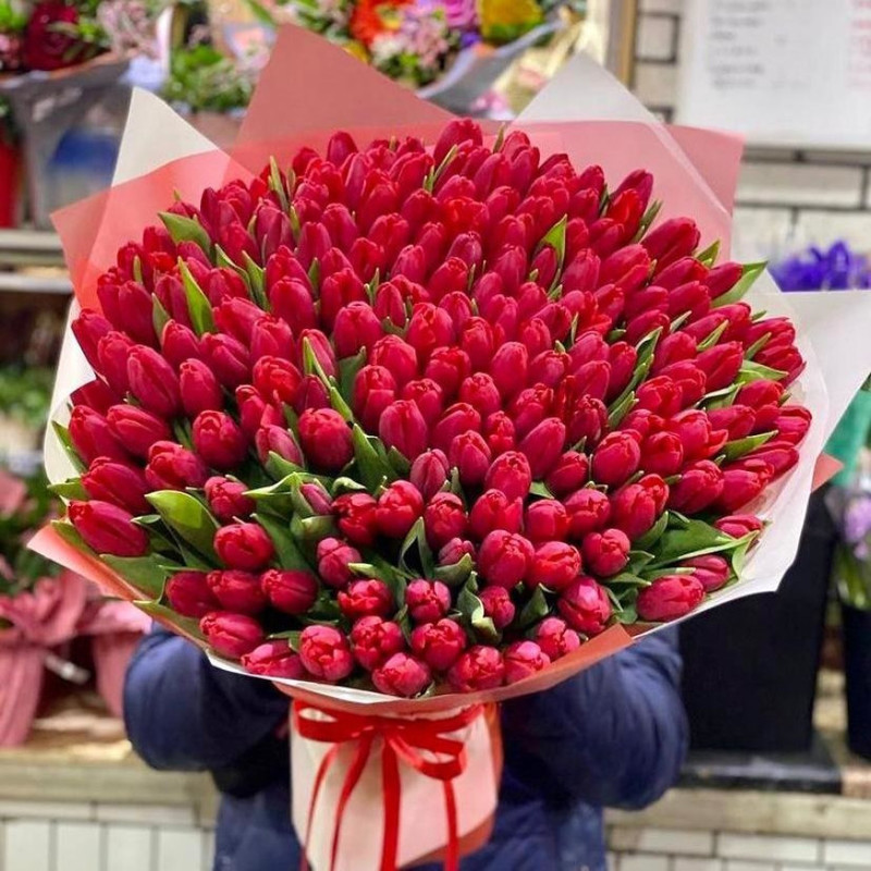 bouquet 101 tulip, standart