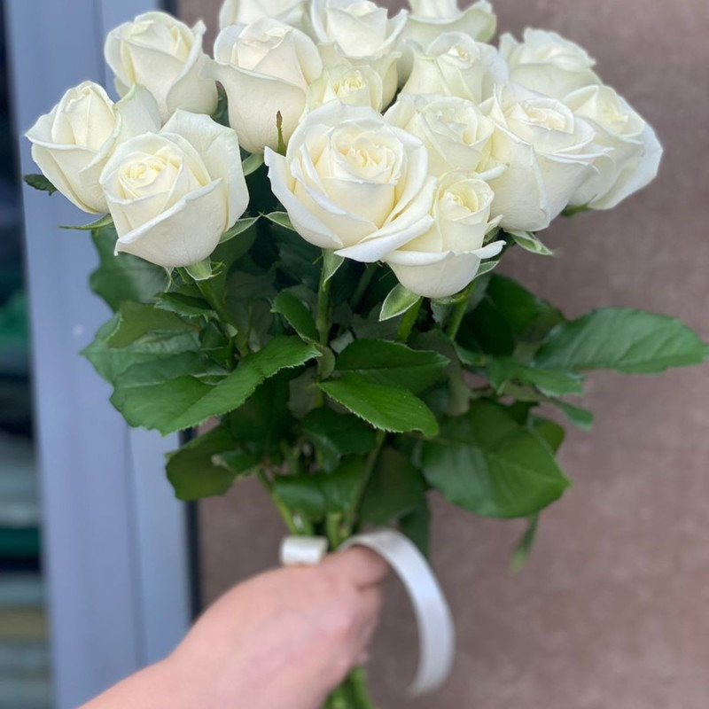 Белые розы, стандартный