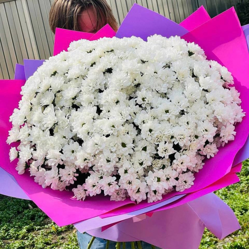 Huge bouquet of chrysanthemums, standart