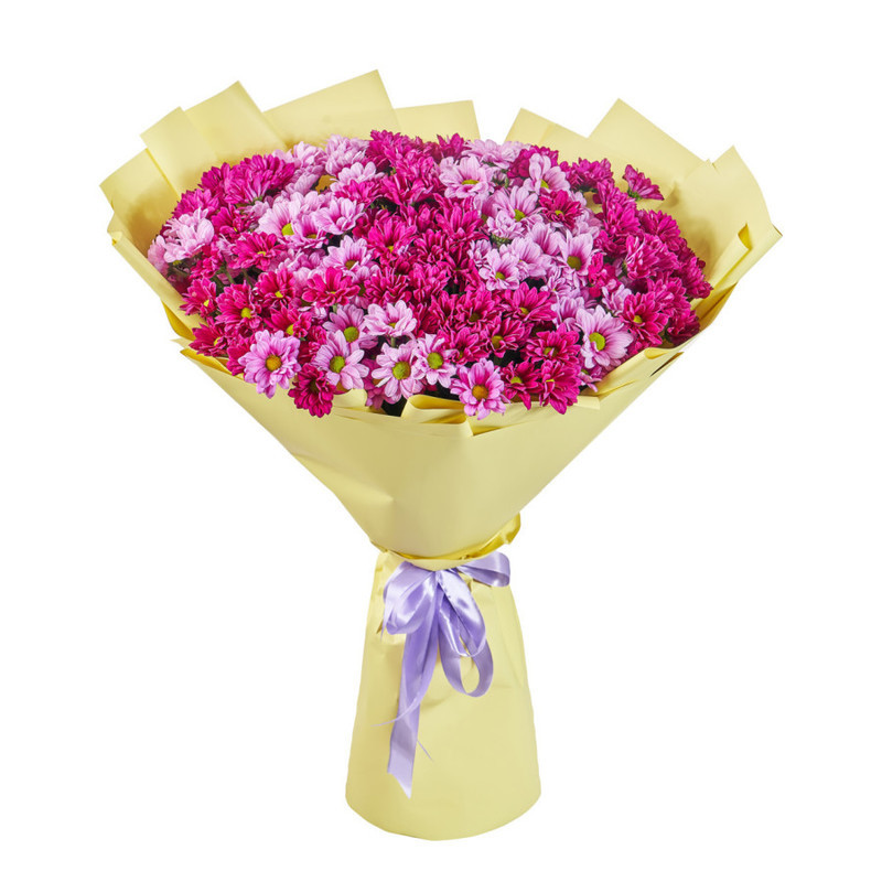 Bouquet of 25 bright spray chrysanthemums, standart