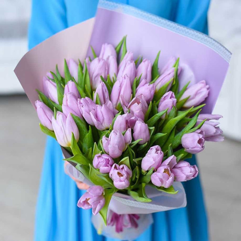 35 purple tulips, standart
