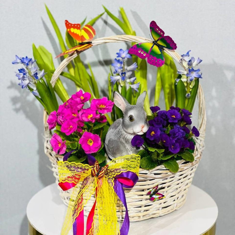 Gift mini garden in a basket, standart