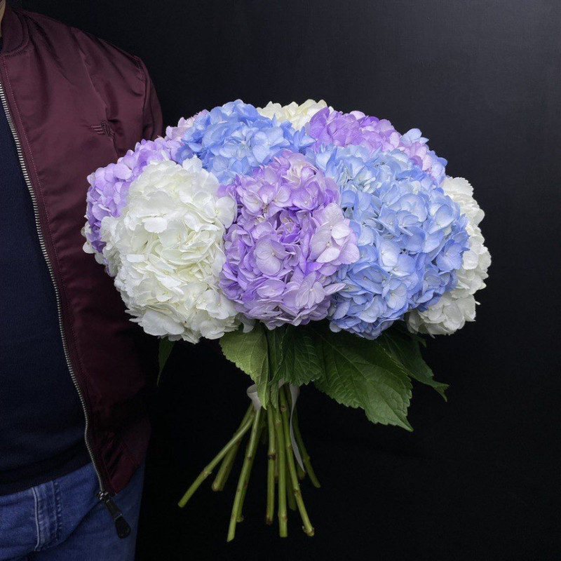 Bouquet of multi-colored hydrangeas, standart