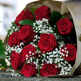Букет «11 красных роз с гипсофилой»