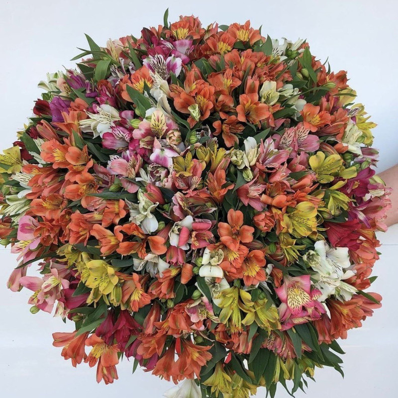 Large bouquet of 75 alstroemerias, standart