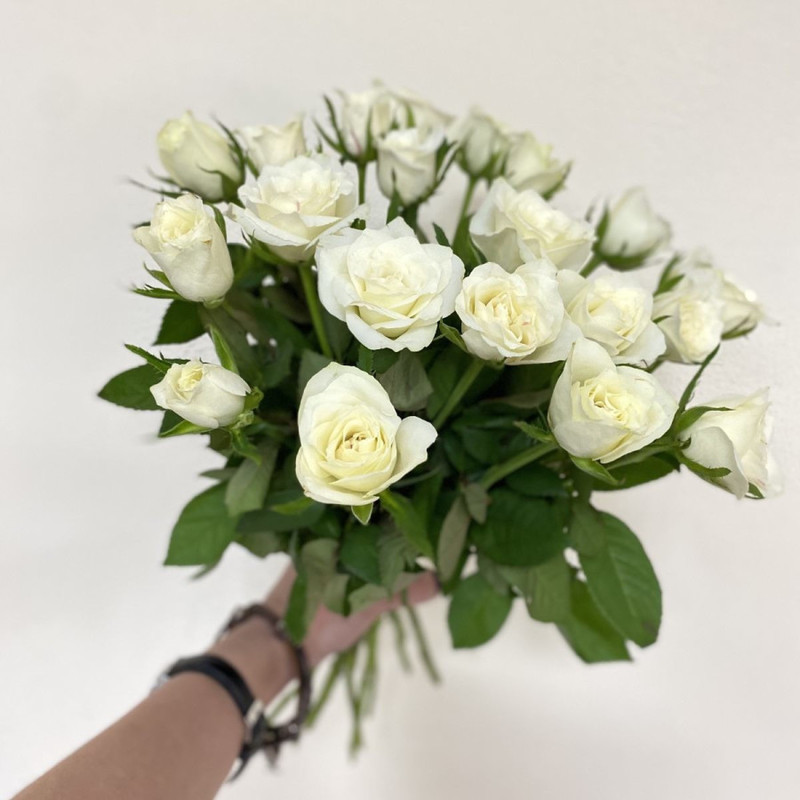 White roses Kenya, standart