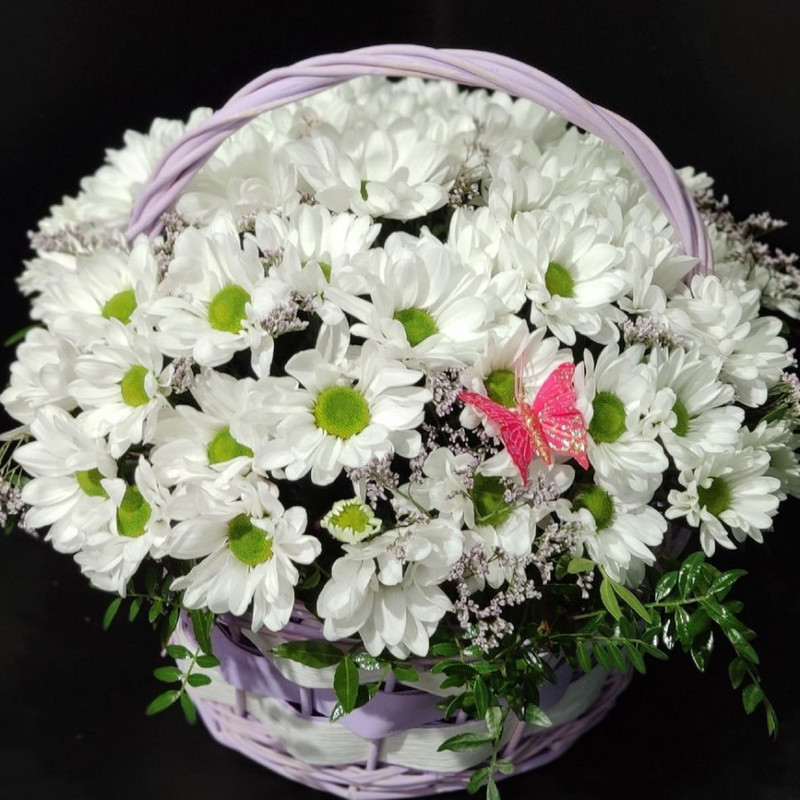 Basket of spray chrysanthemums, standart