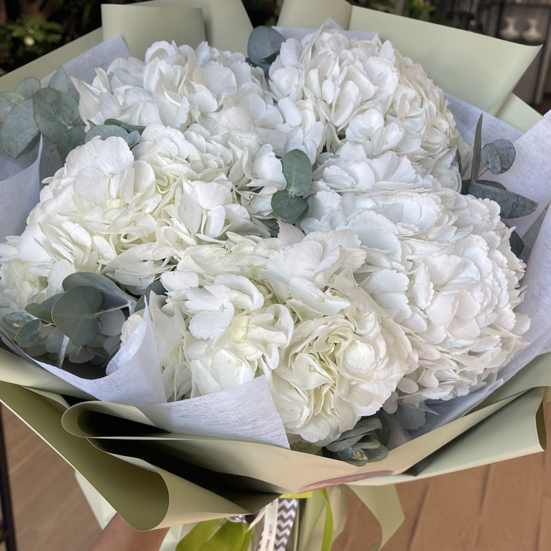Bouquet of hydrangeas, standart