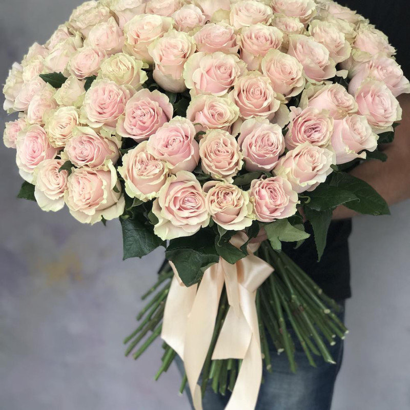 101 dutch roses, standart