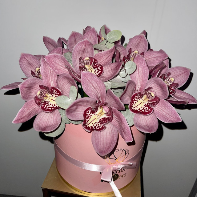 Орхидеи в коробочке, стандартный