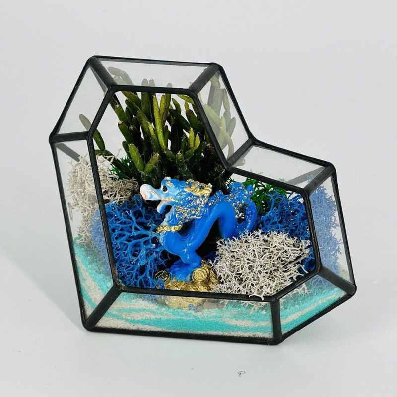 New Year's gift florarium with dragon, standart