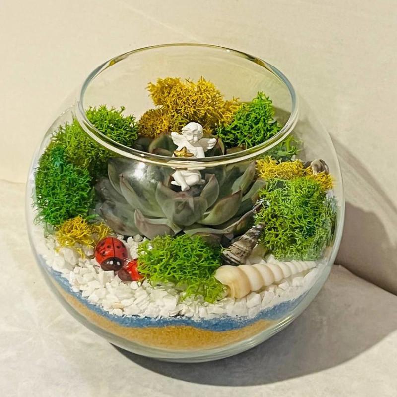 Mini florarium with stone rose and moss, standart