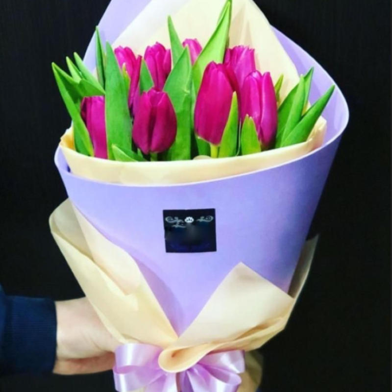 pink tulips, standart