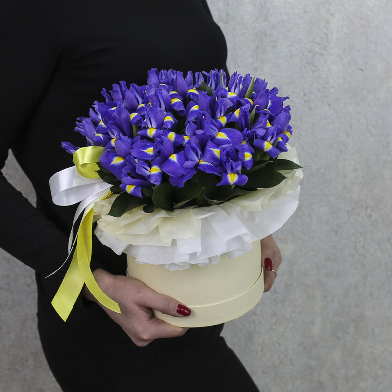 Box of 25 blue irises "Gloria", standart