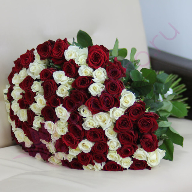 101 белая и красная роза 60 см, стандартный