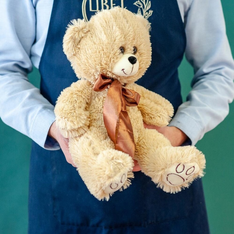 Teddy bear, standart
