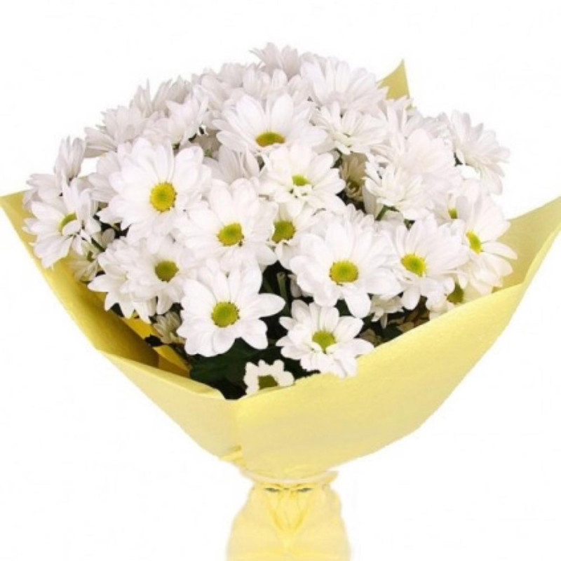 Bouquet of 5 chrysanthemums, standart