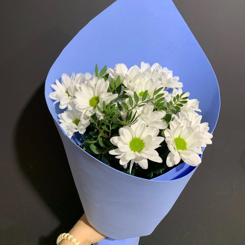 Bouquet of chrysanthemums, standart