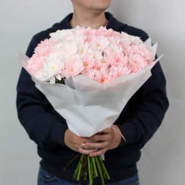 15 розовых кустовых хризантем