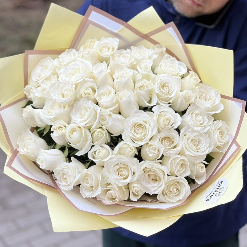 51 white rose, standart