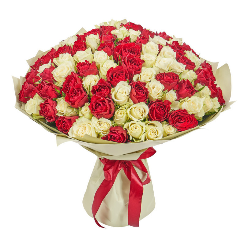 Bouquet of 101 red and white Kenyan roses in a package, standart