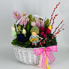 Basket of spring primroses with willow branches