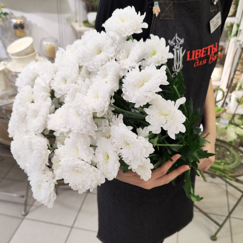 Bouquet of 7 white spray chrysanthemums, standart