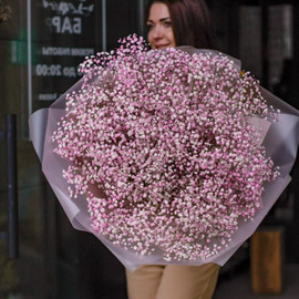 PAINT PINK GIANT BOUQUET FROM GYPSOPHILA
