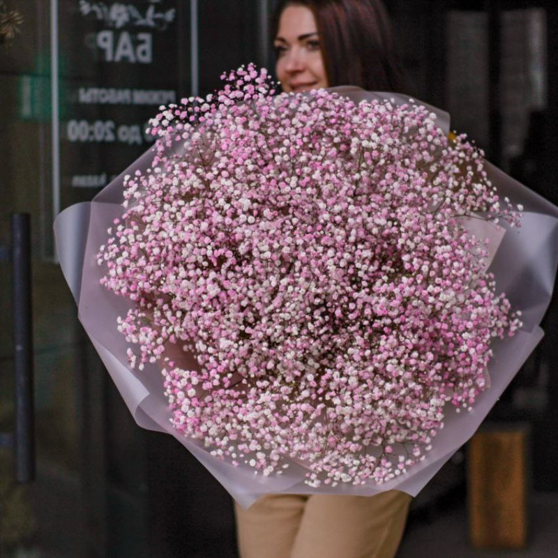 PAINT PINK GIANT BOUQUET FROM GYPSOPHILA, standart