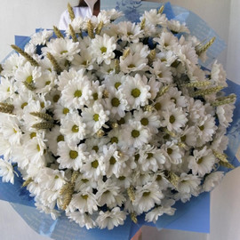 Summer bouquet of chamomile chrysanthemum and wheat