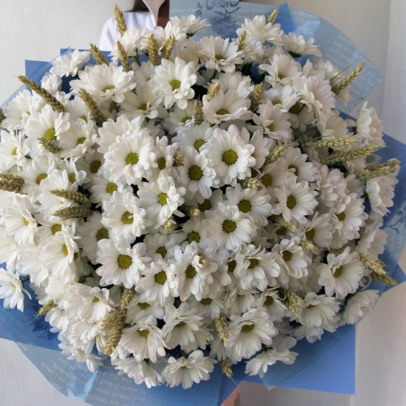 Summer bouquet of chamomile chrysanthemum and wheat, standart