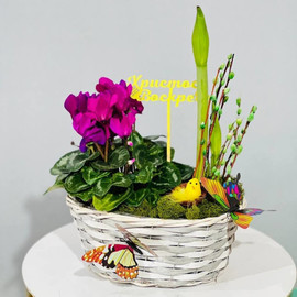 Easter composition with live plants and twigs of painted willow