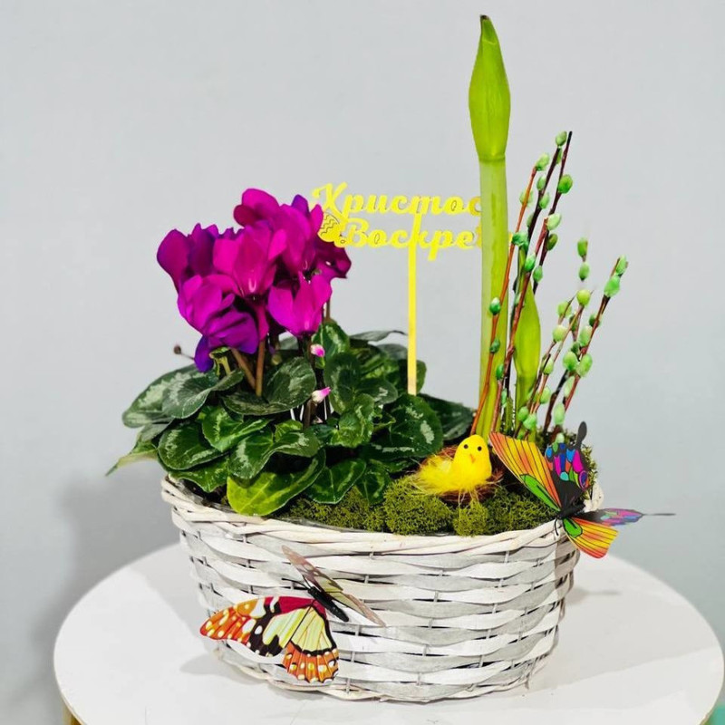 Easter composition with live plants and twigs of painted willow, standart
