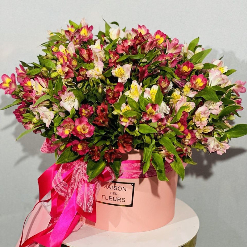 Giant bouquet of alstroemeria in a box, standart