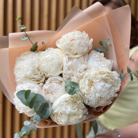 Bouquet of fragrant peonies and eucalyptus