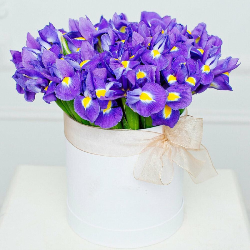 Bouquet in a hatbox of 35 irises, standart