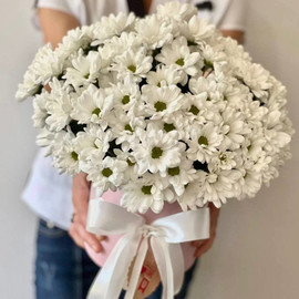 Bouquet of daisies for mom