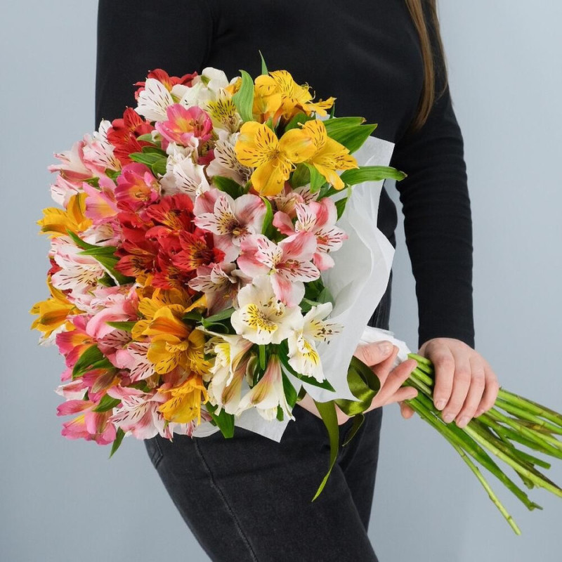 Mono-bouquet of colorful alstroemerias, standart