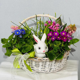Корзина с цветущими первоцветами и кроликом