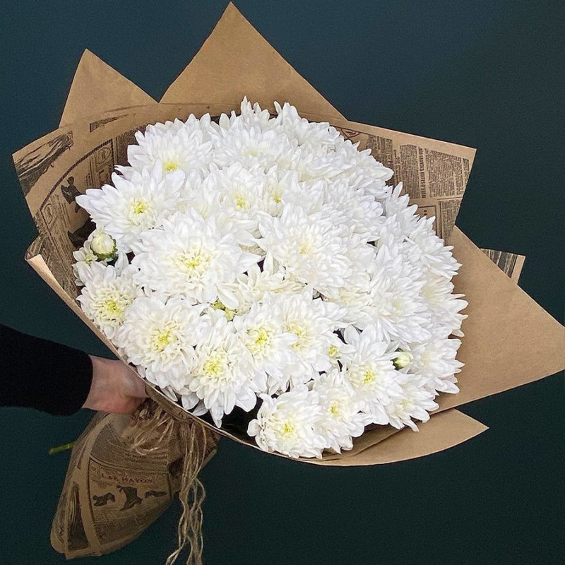 Bouquet of 7 fluffy chrysanthemums, standart