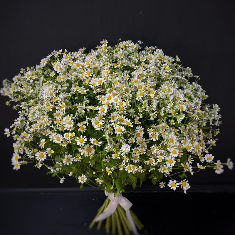 Bouquet of 35 daisies (matricaria) (code 19), standart