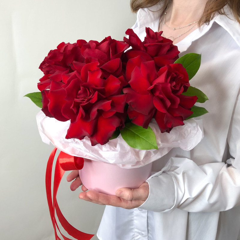 Scarlet color - box of red roses, standart
