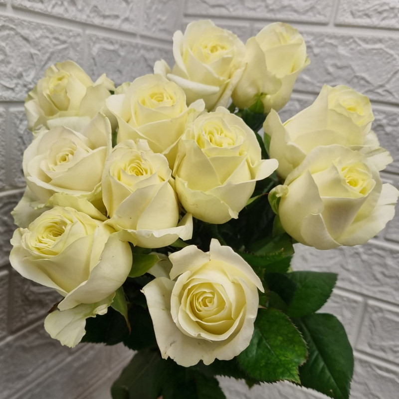 Bouquet of 11 white roses 60 cm, standart