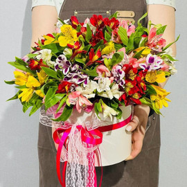 Bouquet of colorful alstroemeria in a box