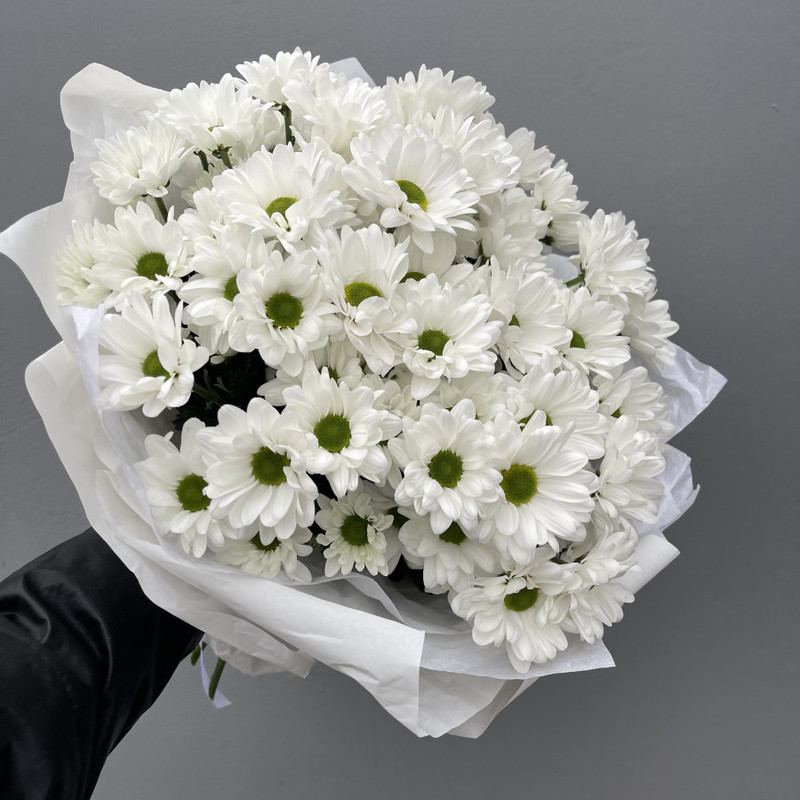 Bouquet of spray chrysanthemums chamomile, standart
