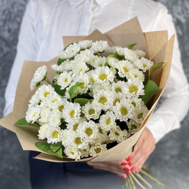 Bouquet of white chrysanthemum daisies, standart
