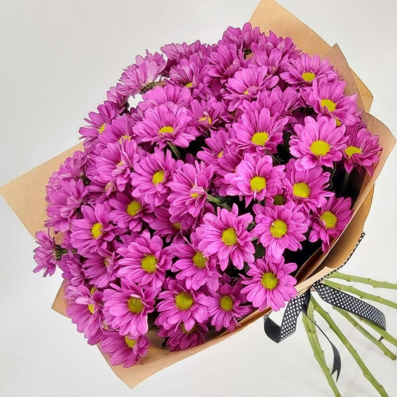 Purple daisies 9, standart